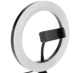 Ring Light Led C/tripé 12" 13W - CCT