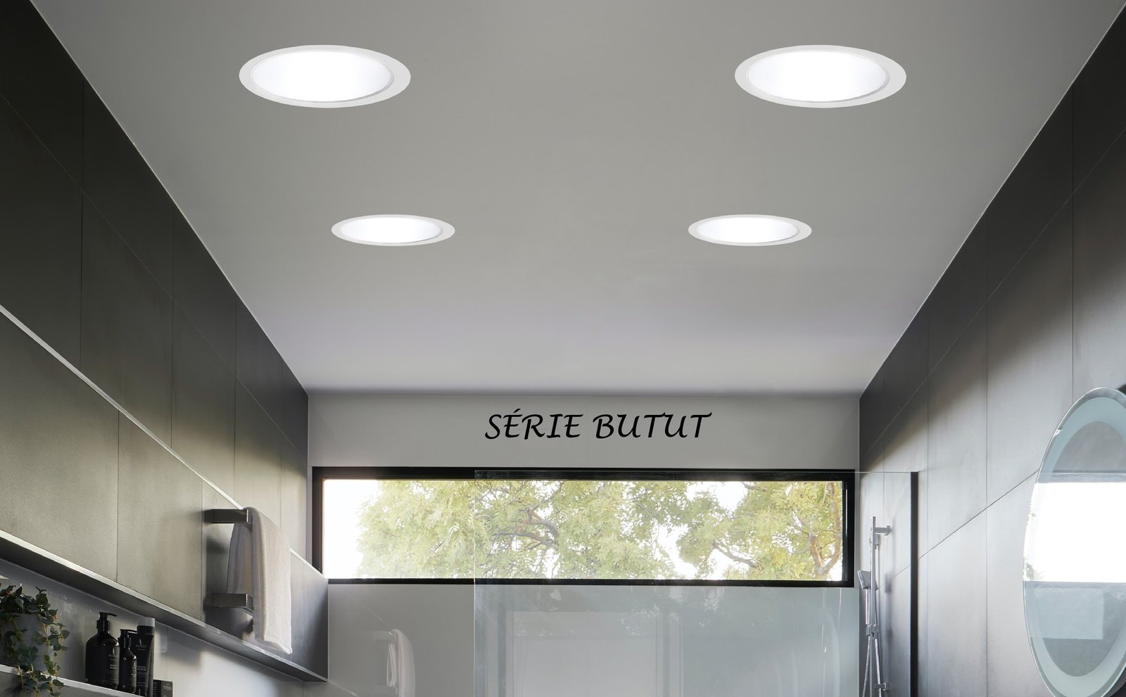 SÉRIE BUTUT
