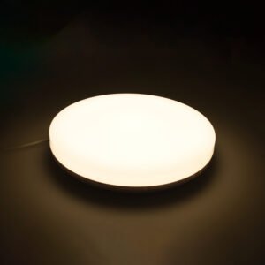 Plafond MEDINA médio IP54 1x24W LED 1920lm 4000K Branco - Image 3
