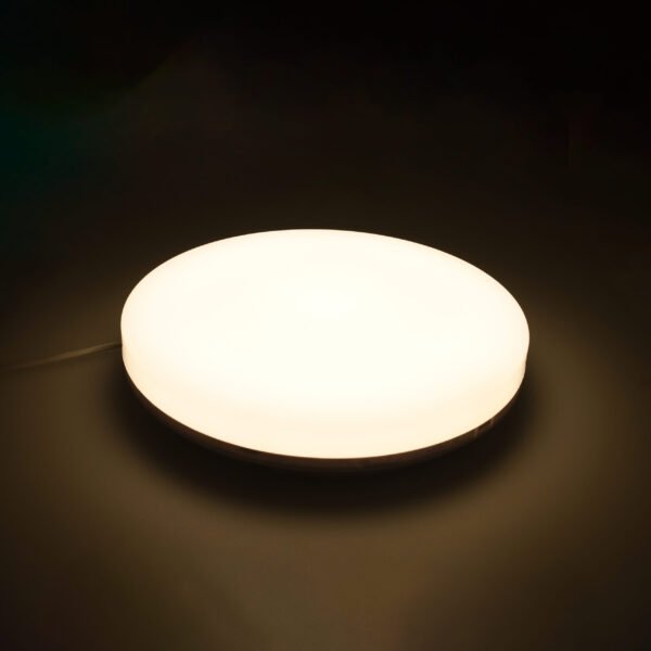Plafond MEDINA médio IP54 1x24W LED 1920lm 4000K Branco - Image 3