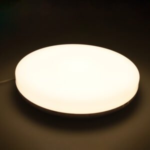 Plafond MEDINA grande IP54 1x36W LED 3380lm 4000K Branco - Image 3