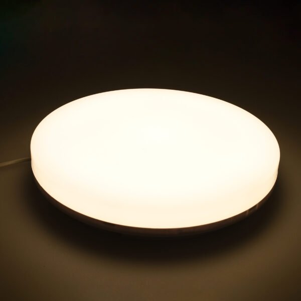 Plafond MEDINA grande IP54 1x36W LED 3380lm 4000K Branco - Image 3