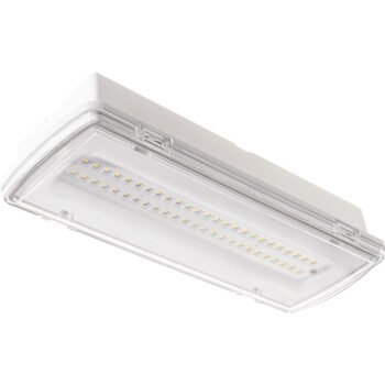 Luz de emergência KALANI mista IP65 1x4,4W LED 400lm 4000K Branco
