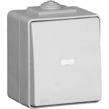 Botão Basculante Luminoso ESTANQUE48 IP65 Cinzento