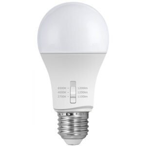Lâmpada E27 (grosso) GLS LED-CCT 11W CCT (2700/4000/6500K) - Image 2