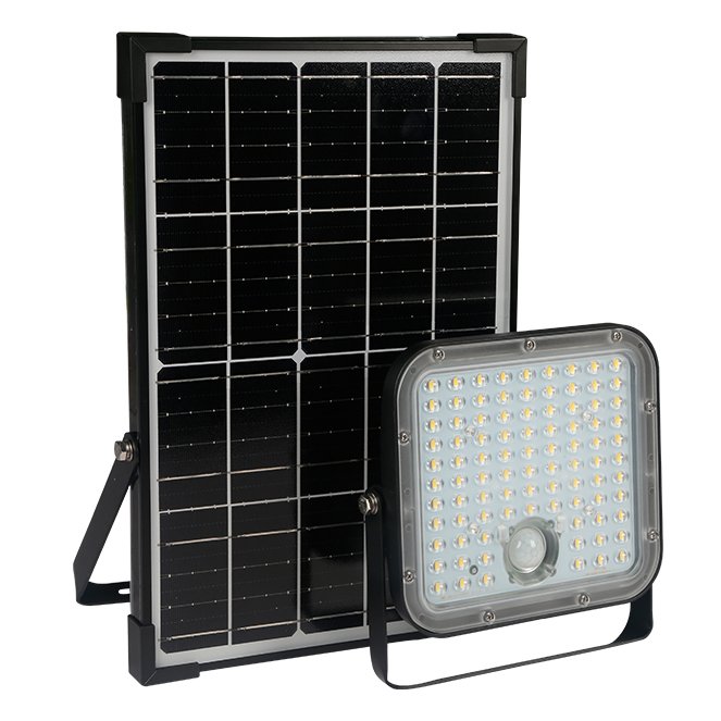 Projetor Solar LED 30W LEGRAND com Sensor